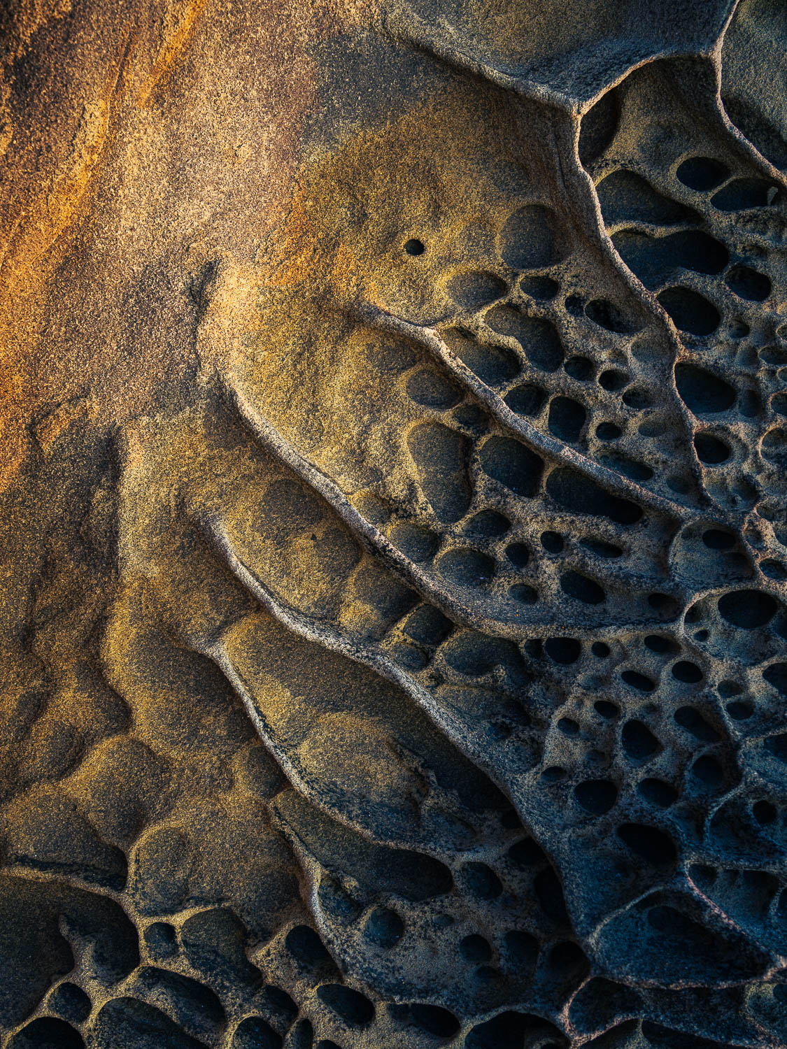 Radiance weathered veins of sandstone and pitted rock flow towards smoother rock lit with golden light