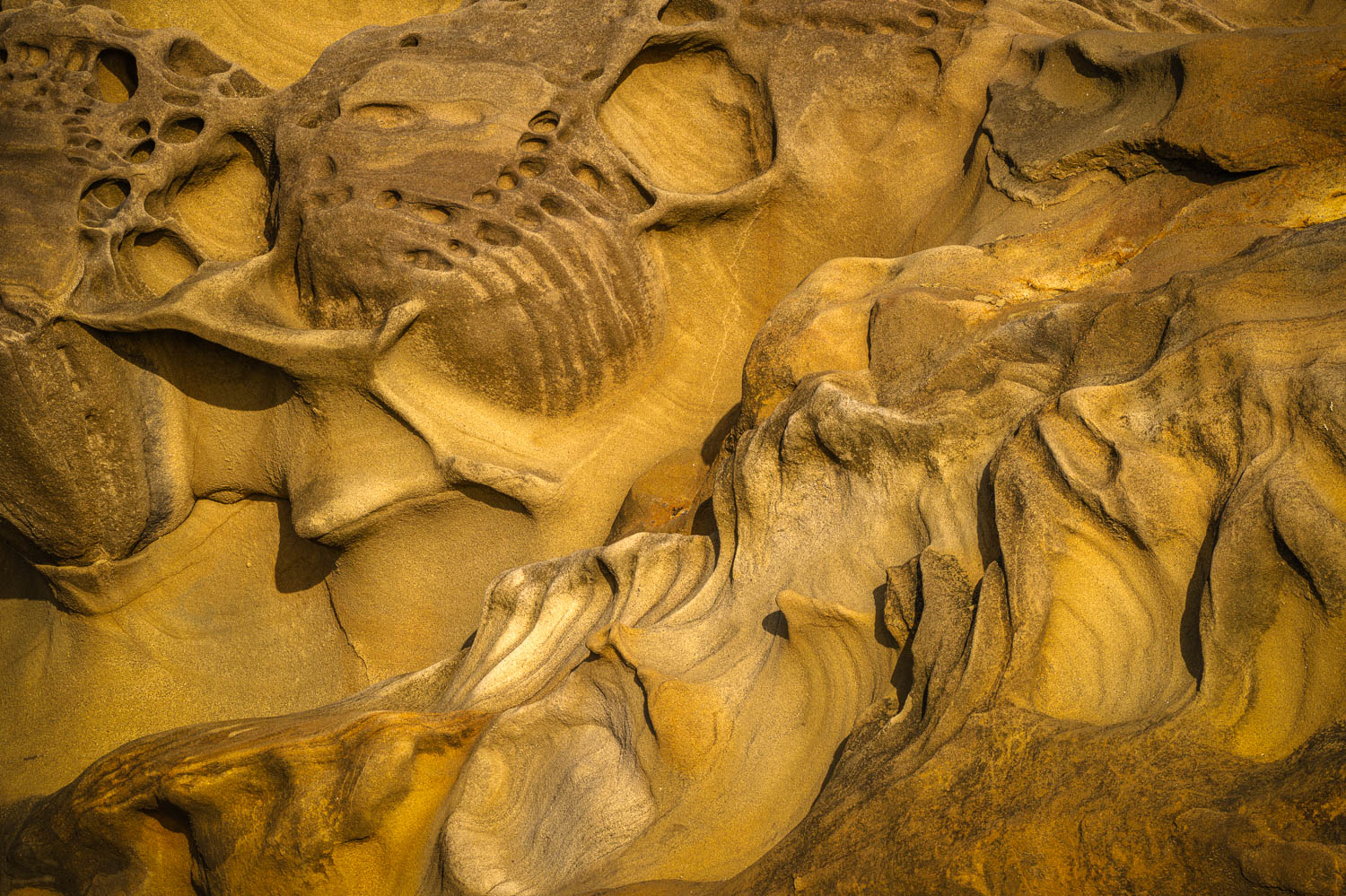 Shore-Acres-Tafoni-Formation-1